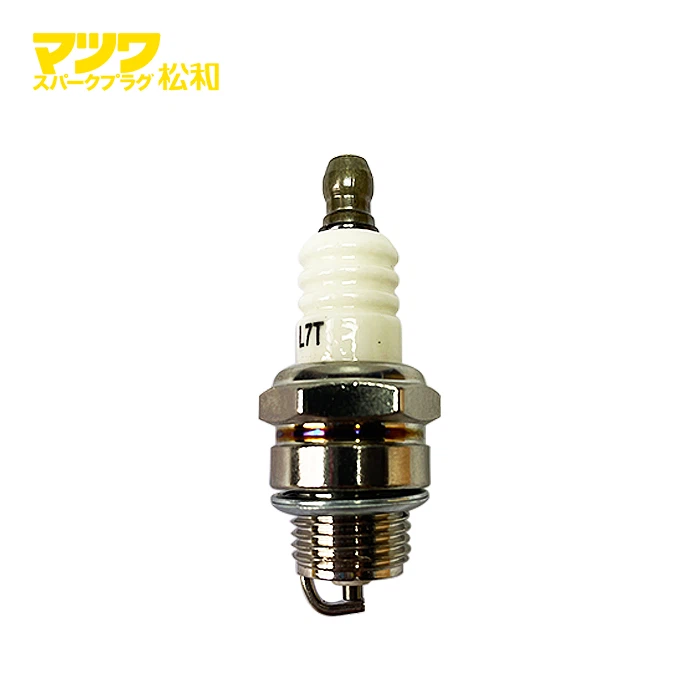 Ako zistím, či je potrebné okamžite vymeniť zapaľovaciu sviečku na trávniku a záhrade?